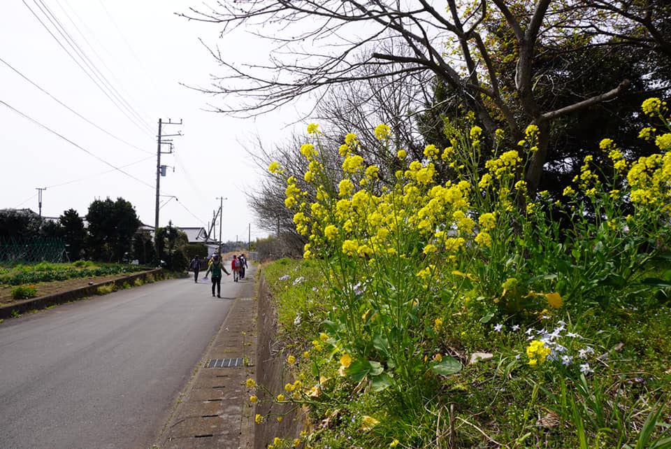 春のブラタグチ　JR裾野駅～天田川コウ渠～吉田神社
