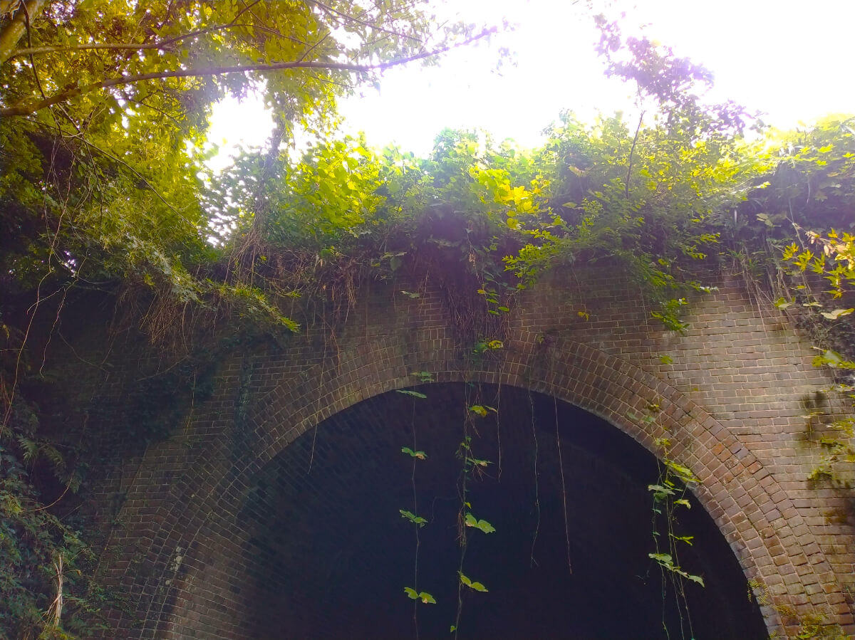 夏のブラタグチ レンガ眼鏡橋を川の中から見よう！